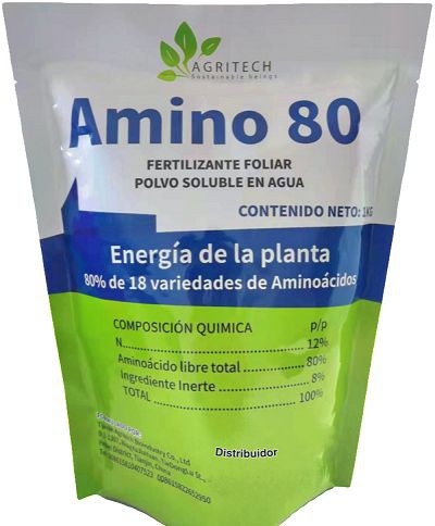 Amino 80
